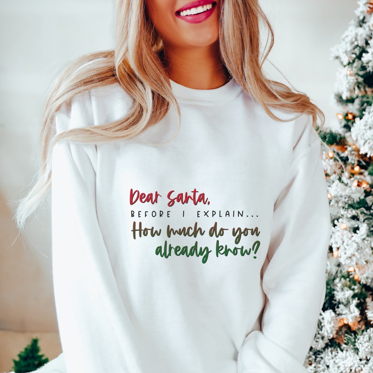 Dear Santa Before I Explain Crewneck Sweatshirt - Trendznmore